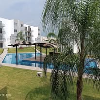 Alberca con palmeras